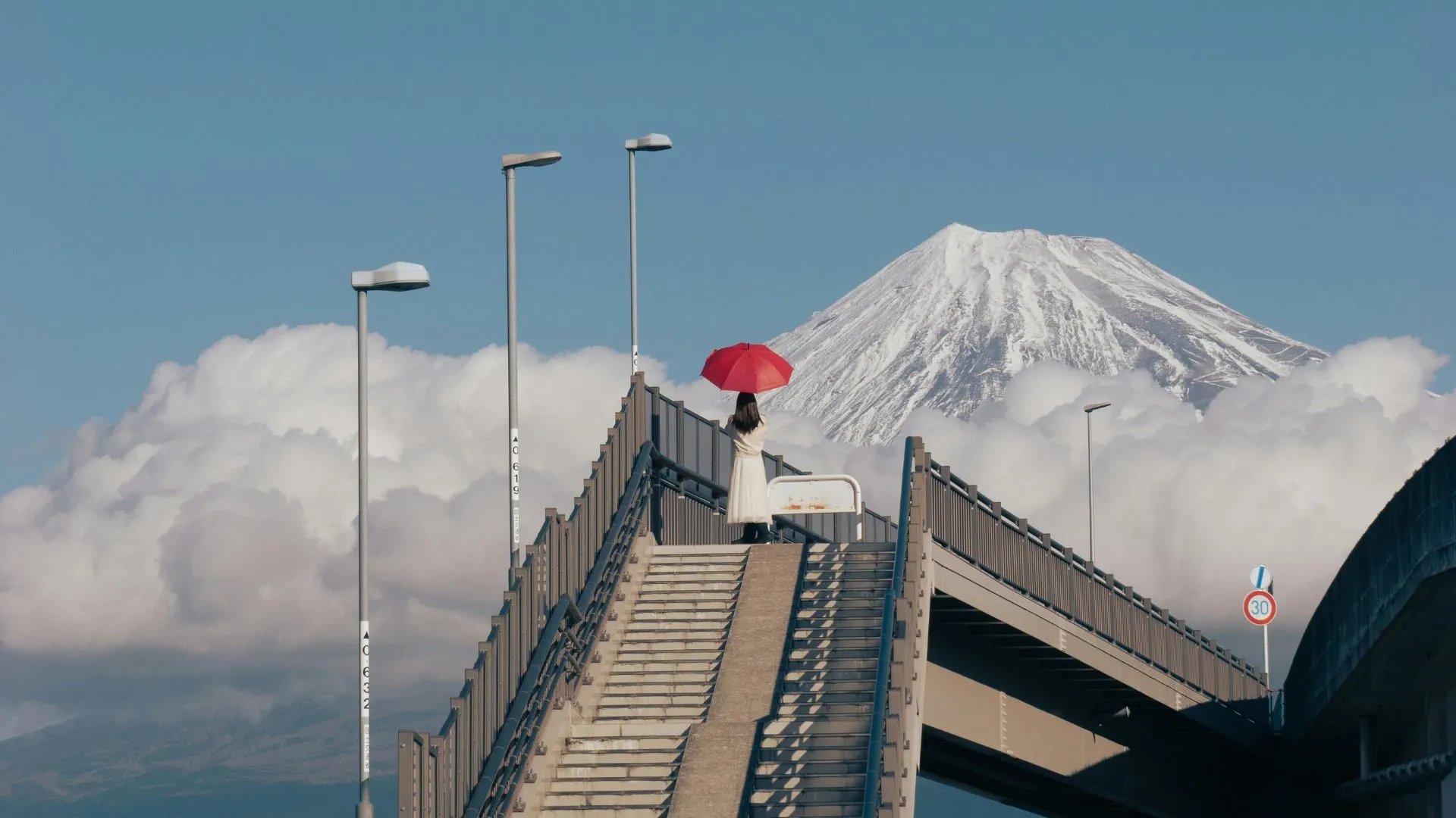 🏞️ 후지시 중앙공원 (후지시 주오코엔) 이미지 7